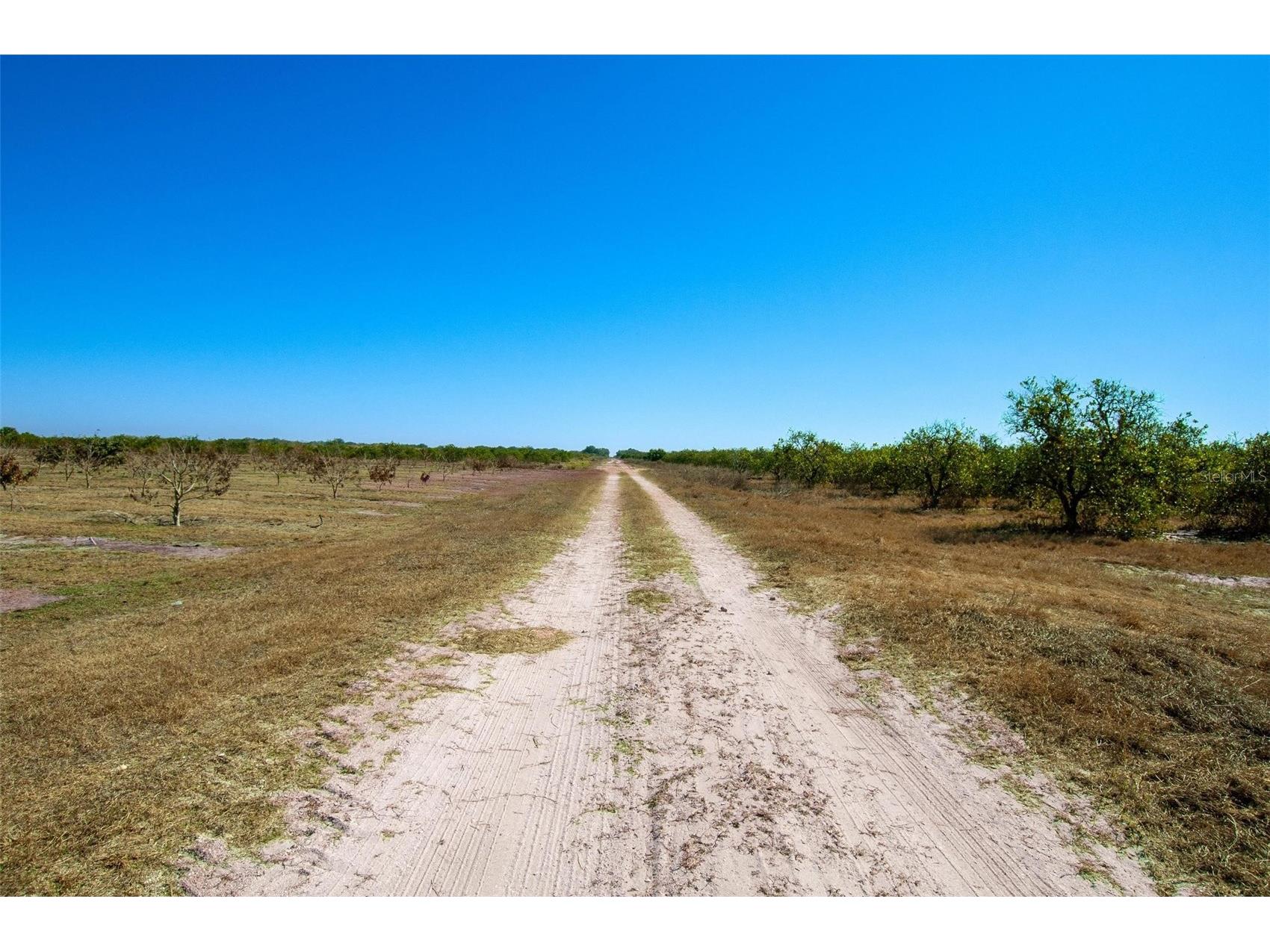  Arcadia FL 34266 C7521768 image12