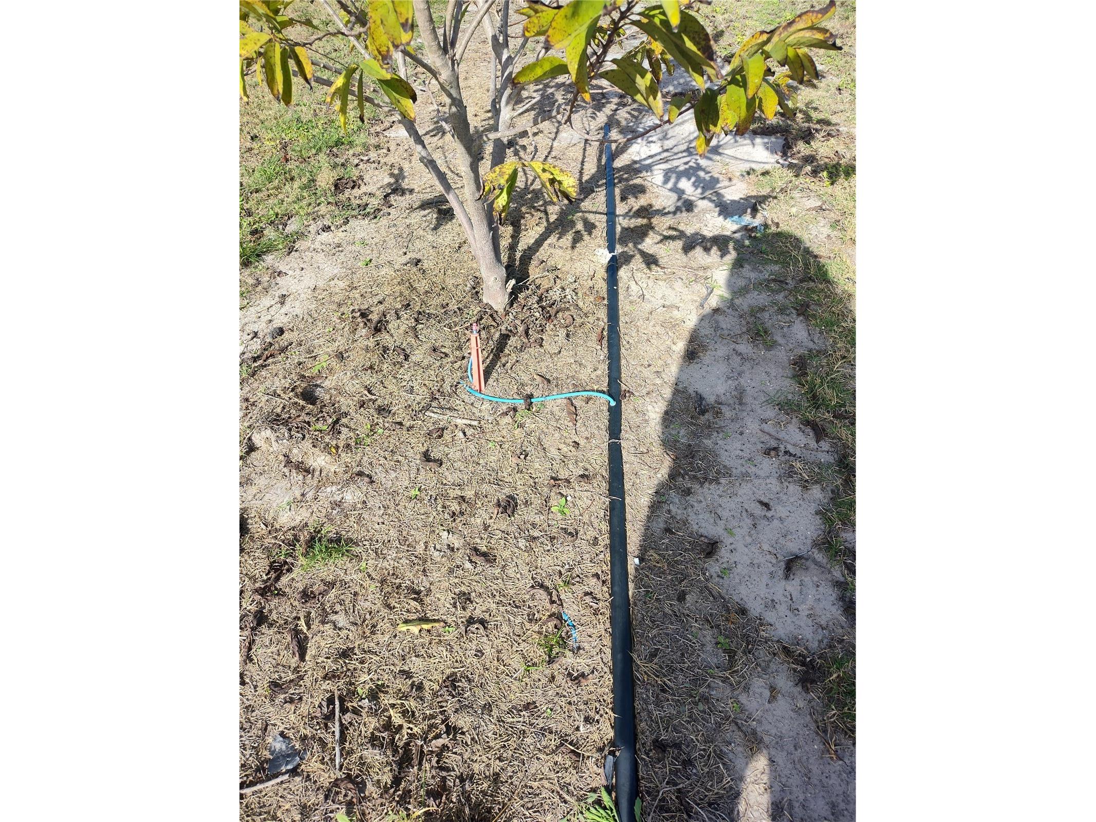  Arcadia FL 34266 C7521768 image15