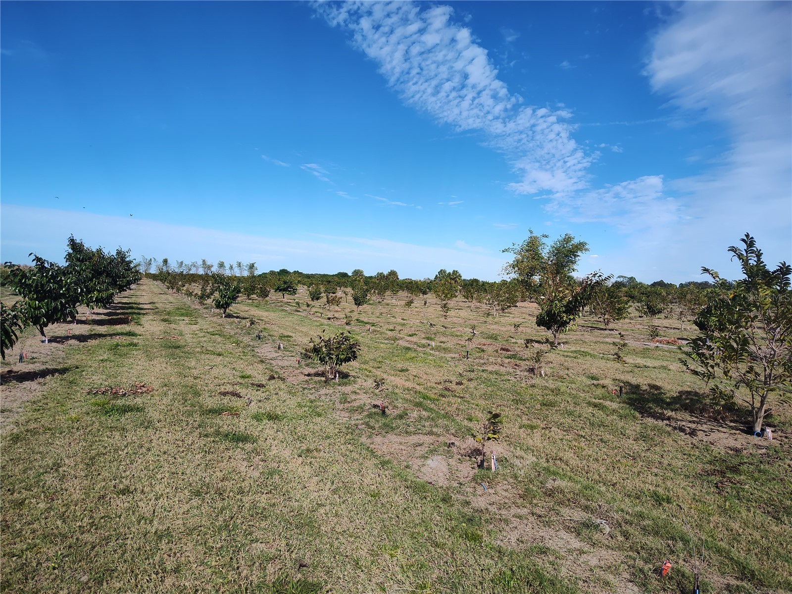  Arcadia FL 34266 C7521768 image16