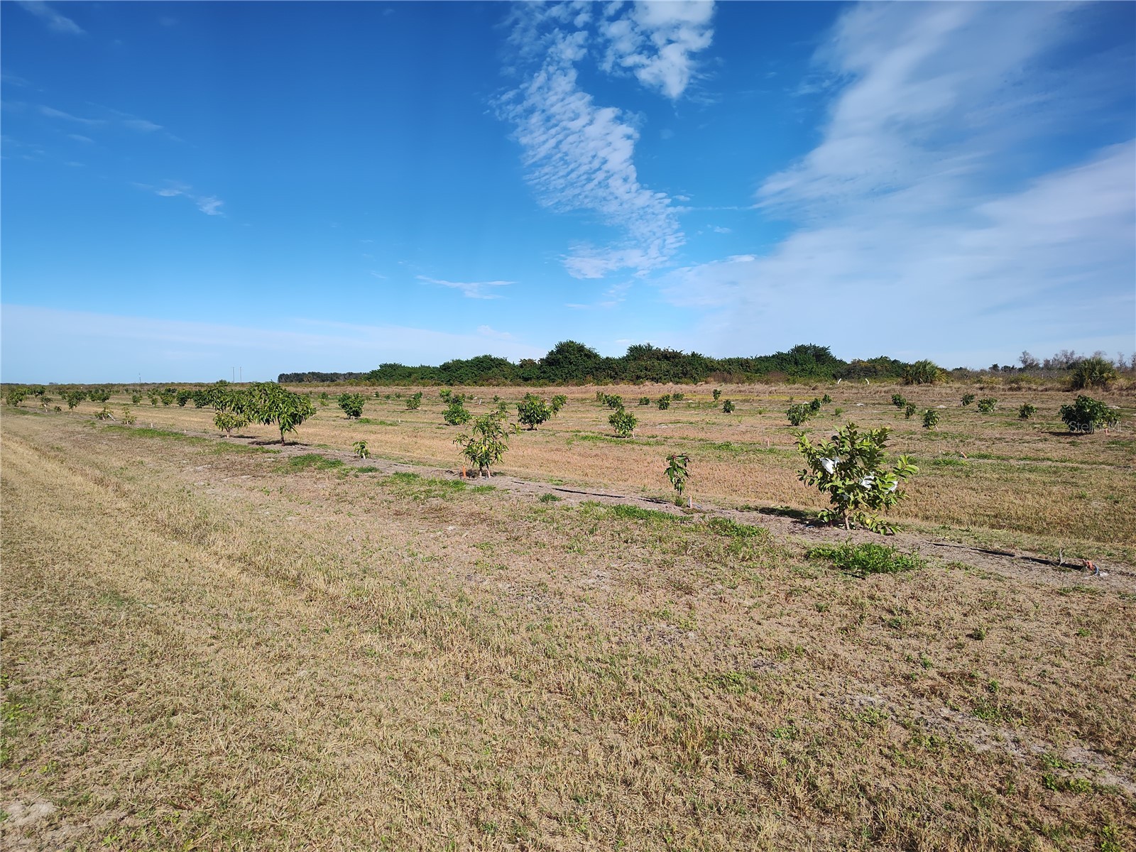  Arcadia FL 34266 C7521768 image18