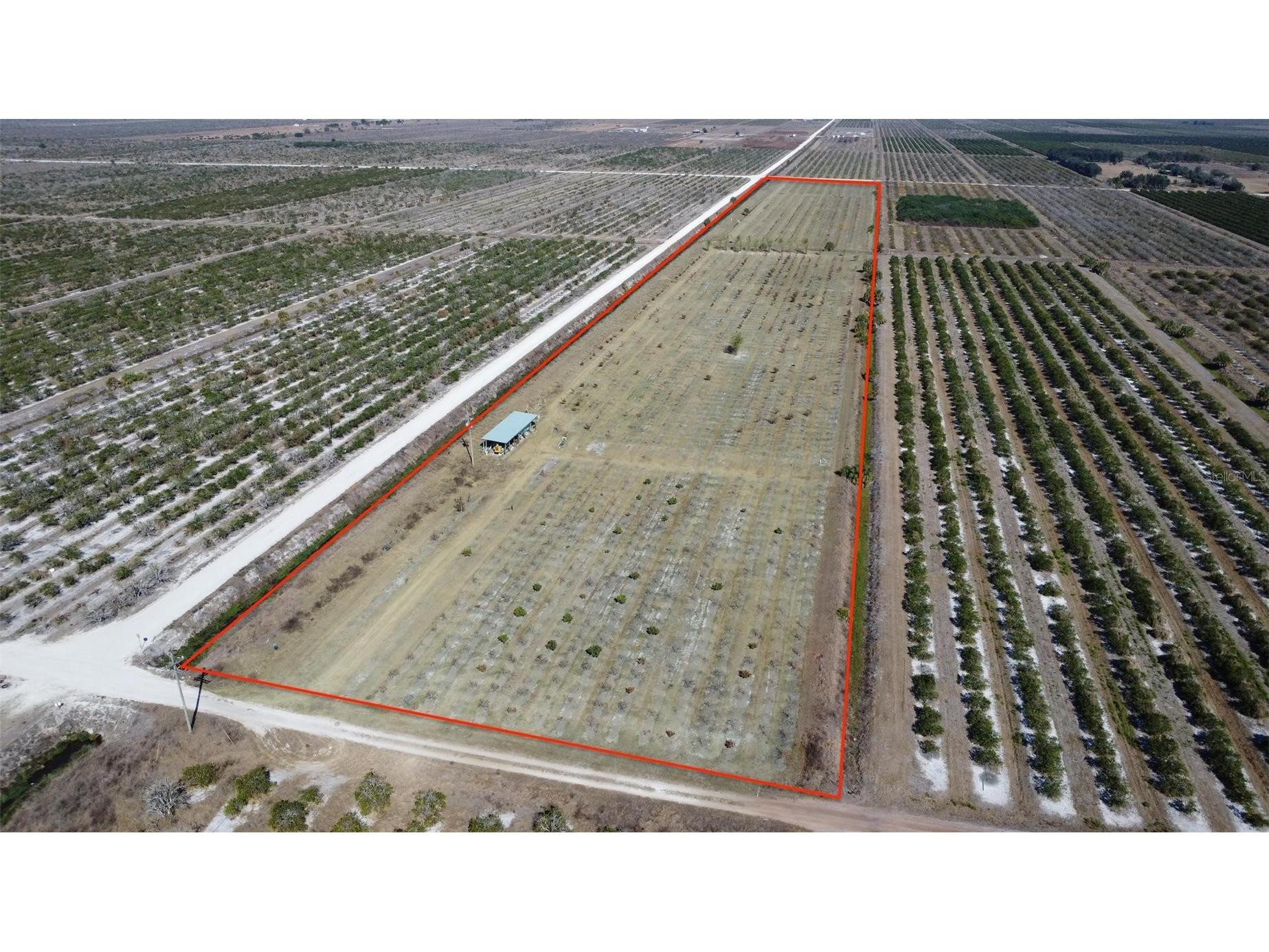  Arcadia FL 34266 C7521768 image2