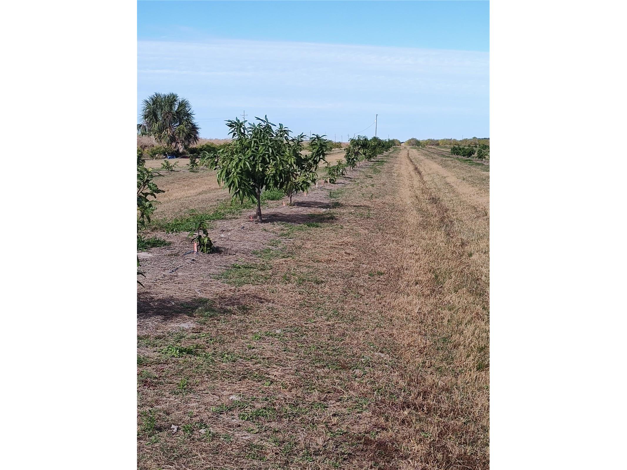  Arcadia FL 34266 C7521768 image23