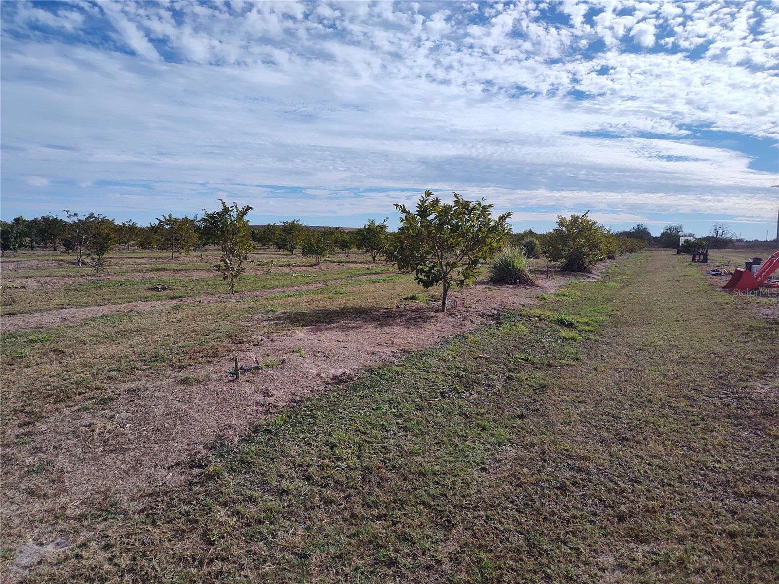  Arcadia FL 34266 C7521768 image30