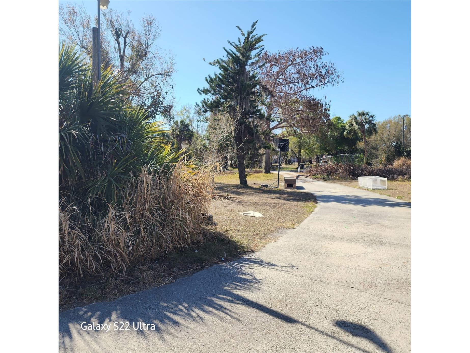  Arcadia FL 34266 O6379400 image3