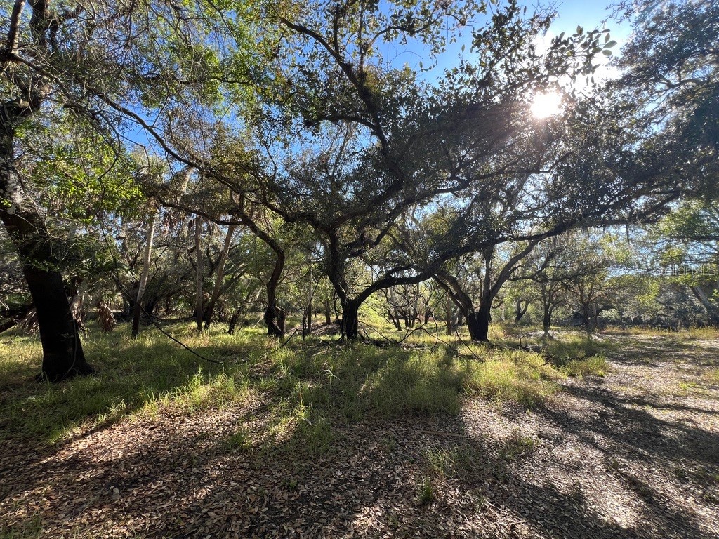  Arcadia FL 34266 OM718493 image1