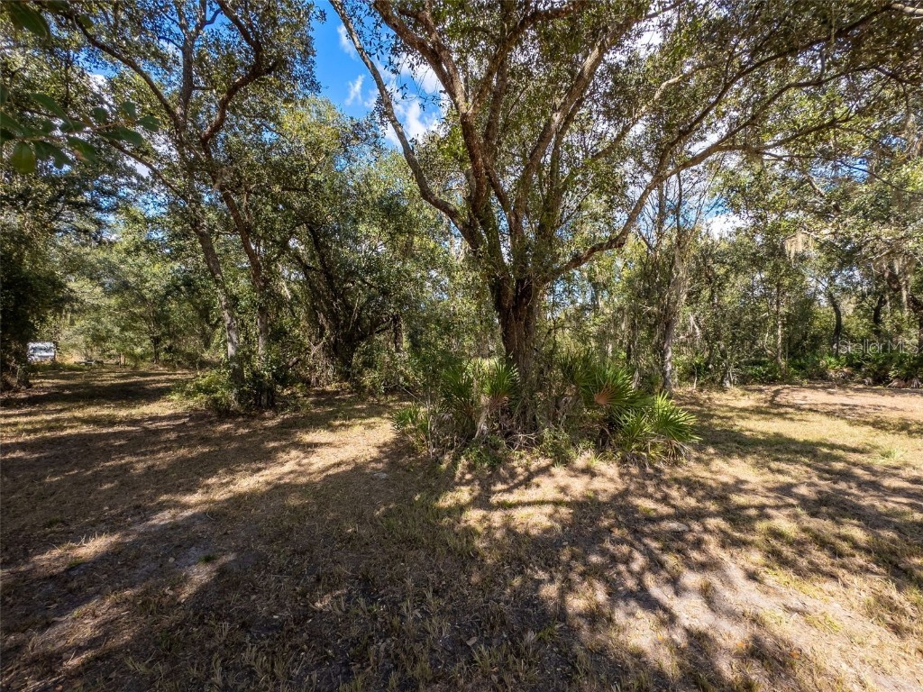  Arcadia FL 34269 C7517189 image12