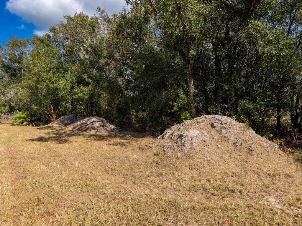  Arcadia FL 34269 C7517189 image18