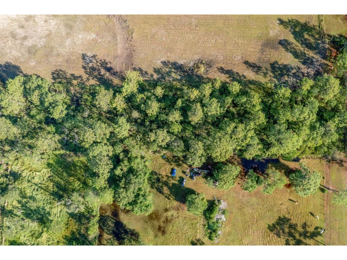 Babbitt Avenue Orlando FL 32833 O6352786 image10