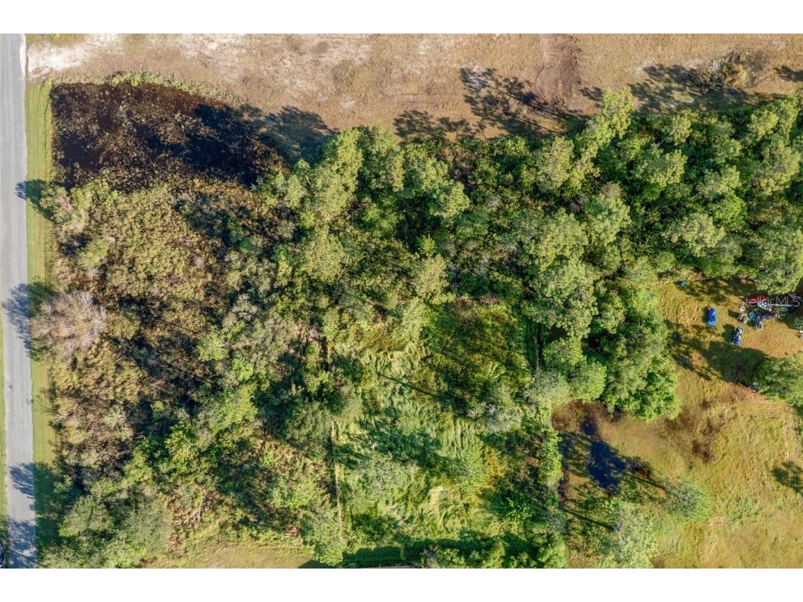 Babbitt Avenue Orlando FL 32833 O6352786 image5