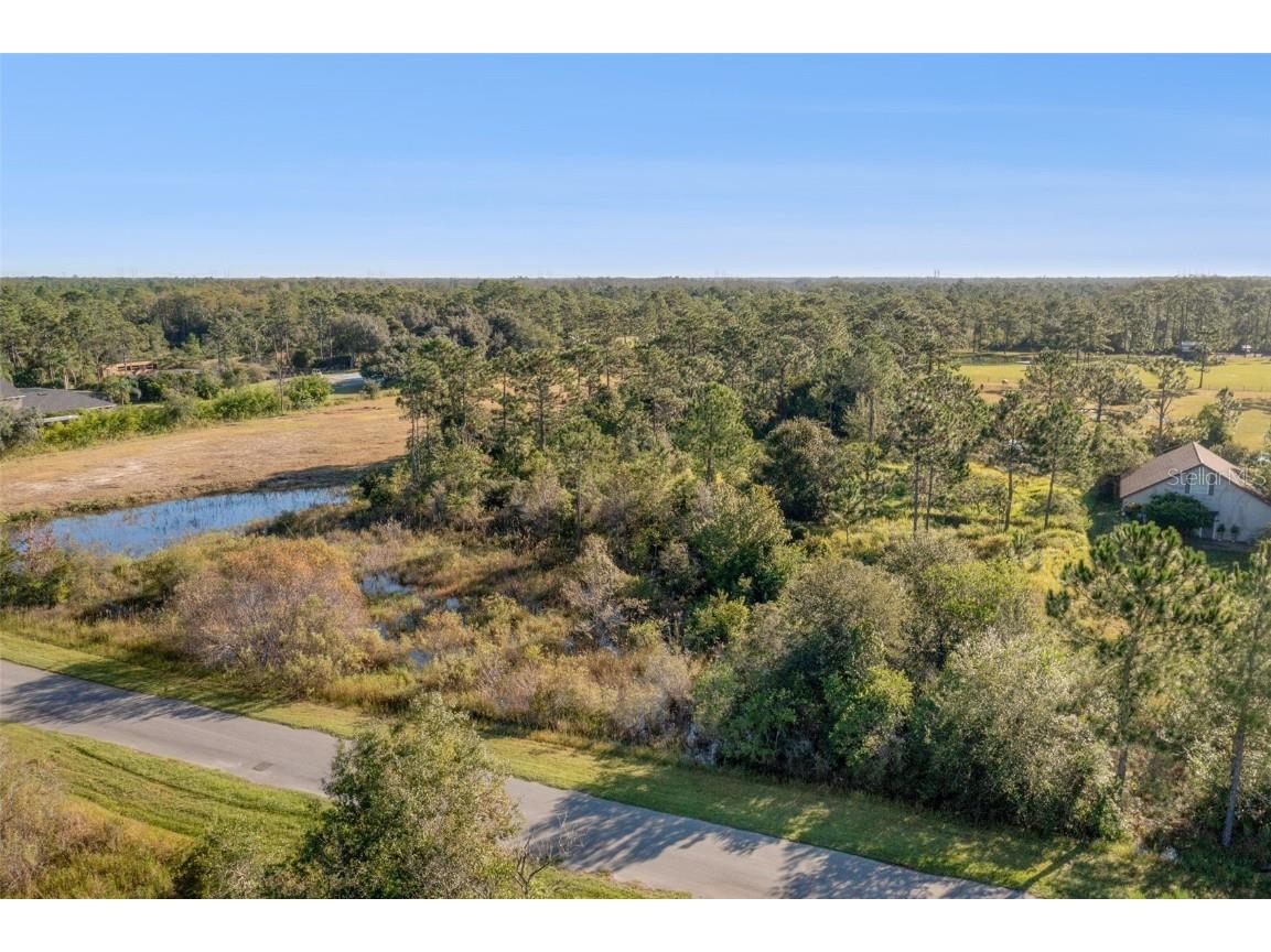 Babbitt Avenue Orlando FL 32833 O6352786 image7