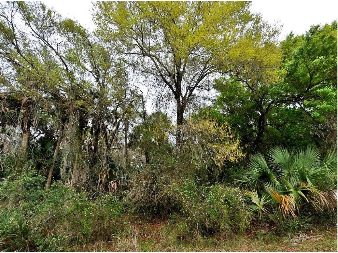 Backert Rd. North Port FL 34291 A4678814 image1