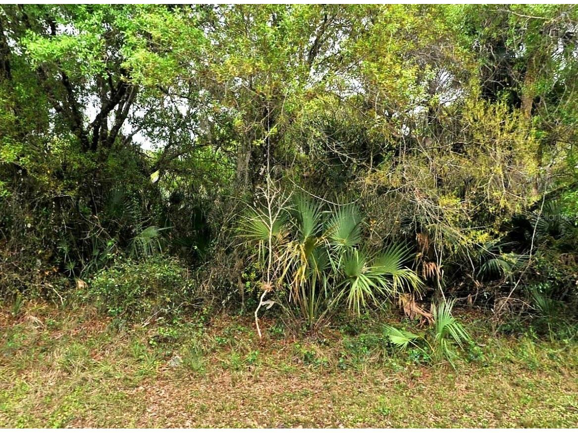 Backert Rd. North Port FL 34291 A4680718 image1