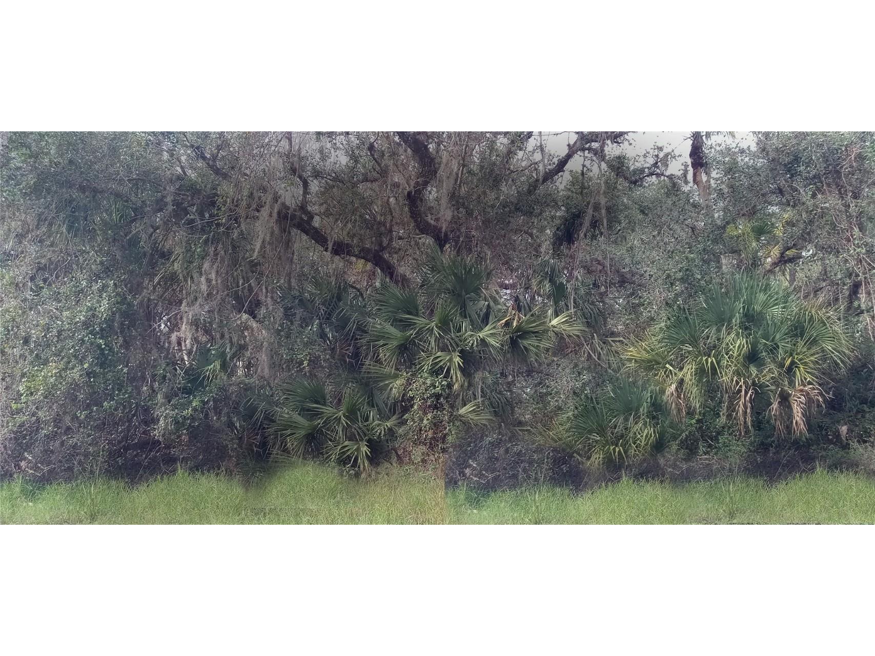 Backert Road North Port FL 34291 C7468454 image1