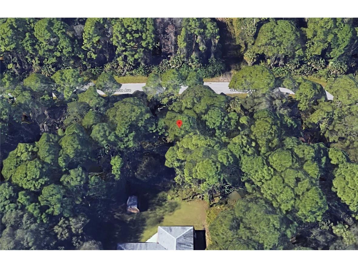 Badosa Road North Port FL 34286 C7491381 image4