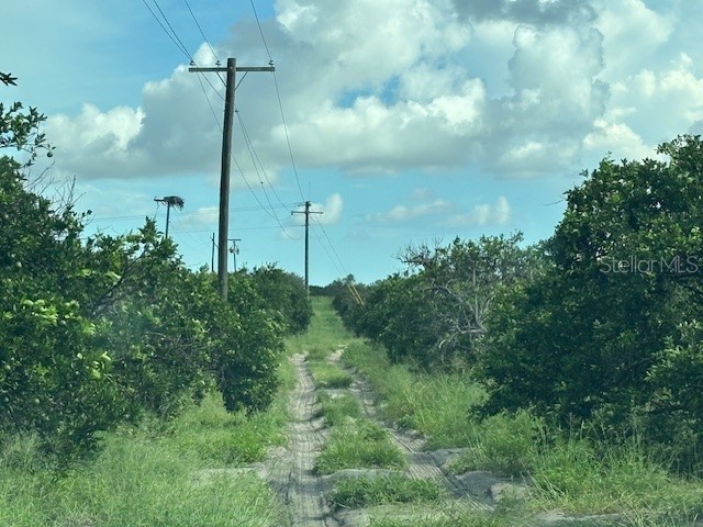 Bagley Road Haines City FL 33844 P4936692 image2