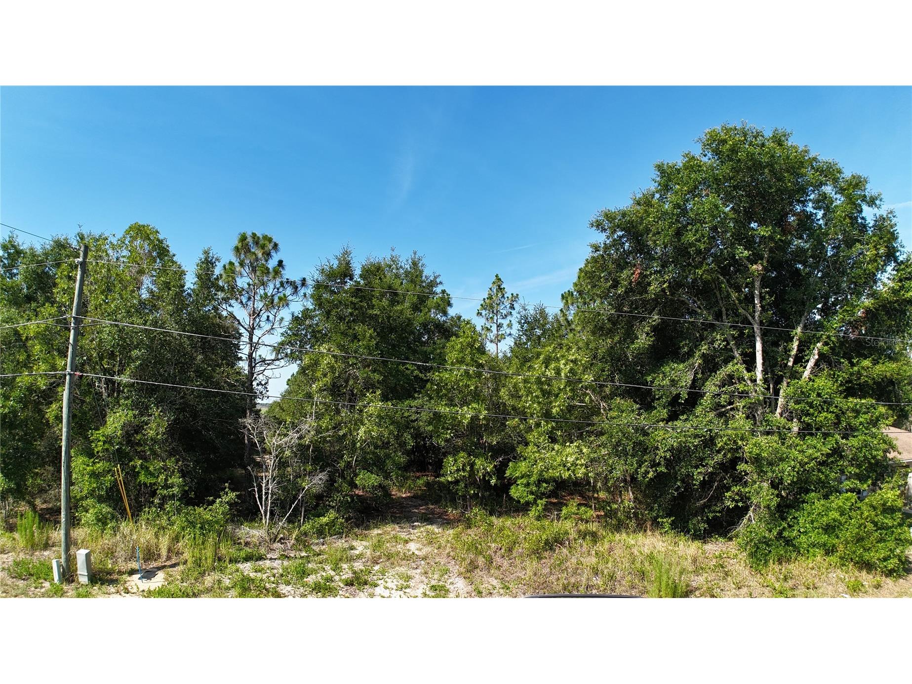 Bahia Court Track Ocala FL 34472 O6420209 image2
