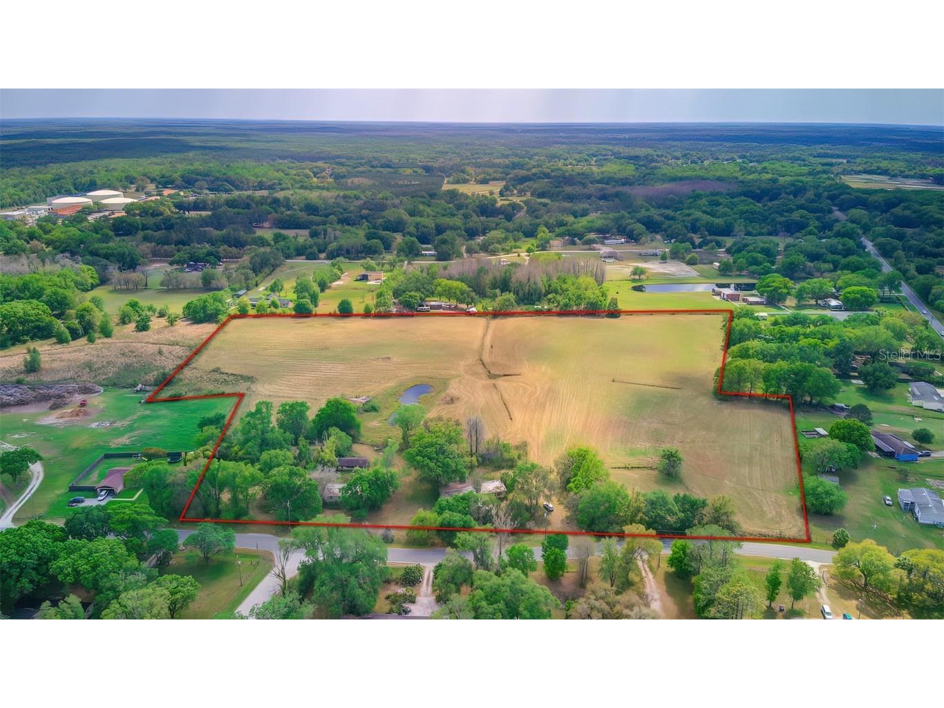 Bahia Loop Land O Lakes FL 34639 T3248680 image1