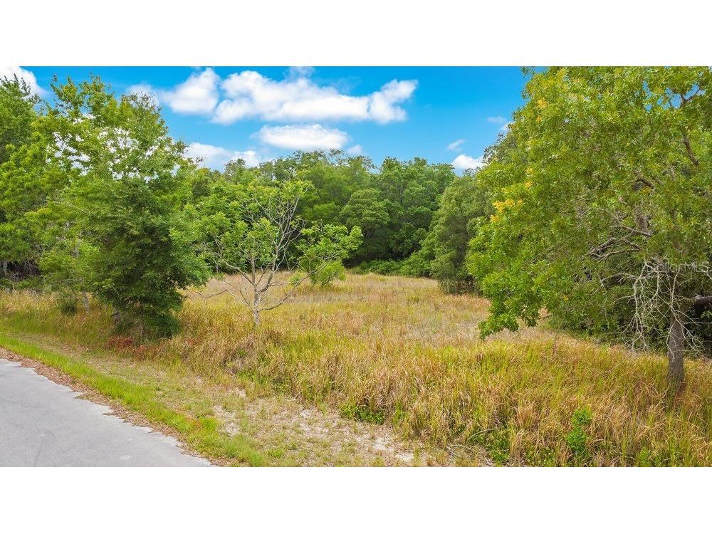 Bahia Rd Ocala FL 34472 O6322570 image1