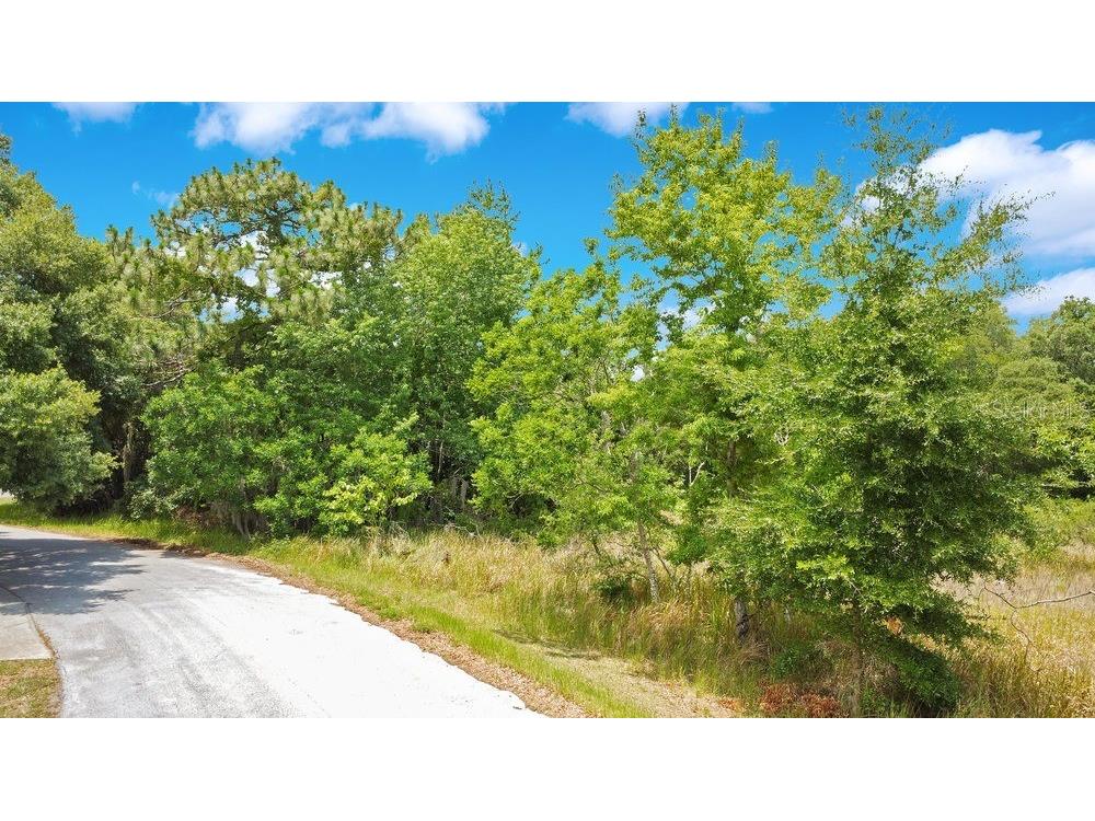 Bahia Rd Ocala FL 34472 O6322570 image2