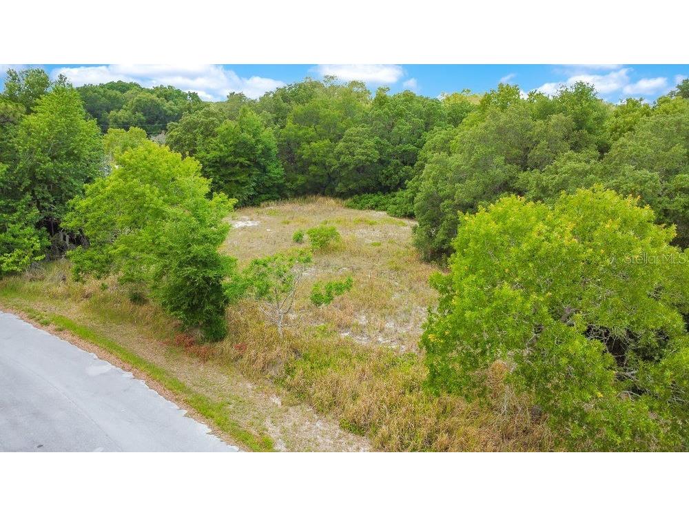 Bahia Rd Ocala FL 34472 O6322570 image3