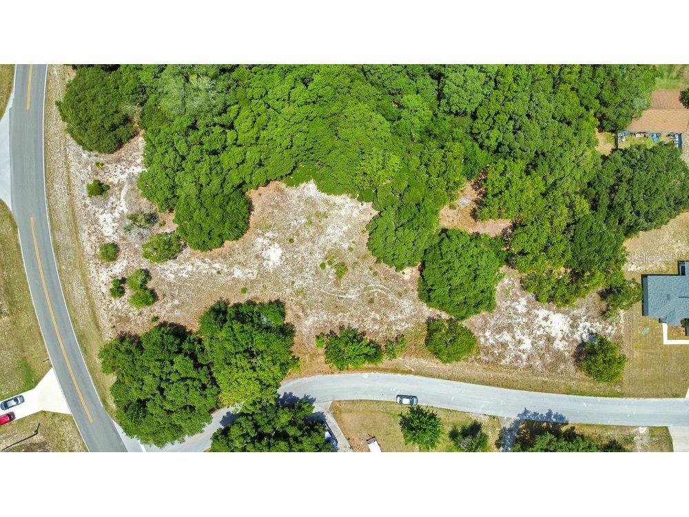 Bahia Rd Ocala FL 34472 O6322570 image5