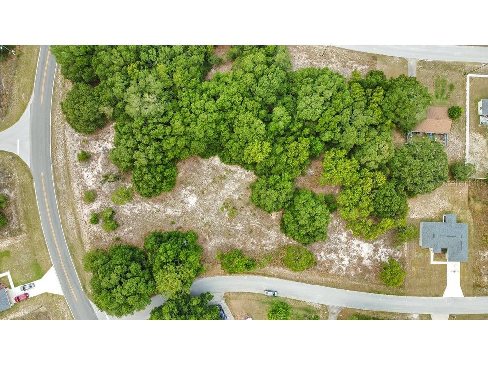 Bahia Rd Ocala FL 34472 O6322570 image6