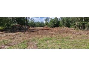 Bahia Terrace Dr Ocala FL 34472 OM706309 image8