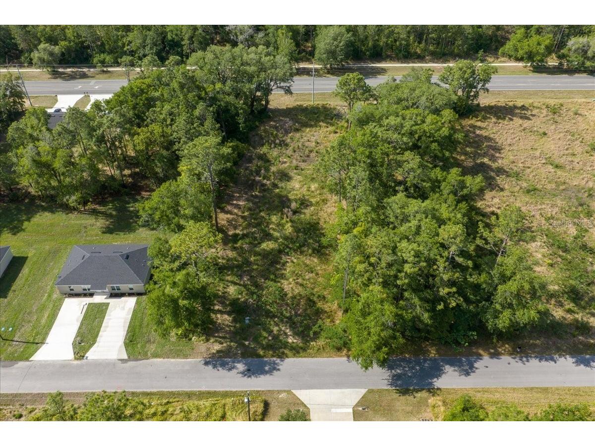 Bahia Terrace Drive Ocala FL 34472 O6401421 image13
