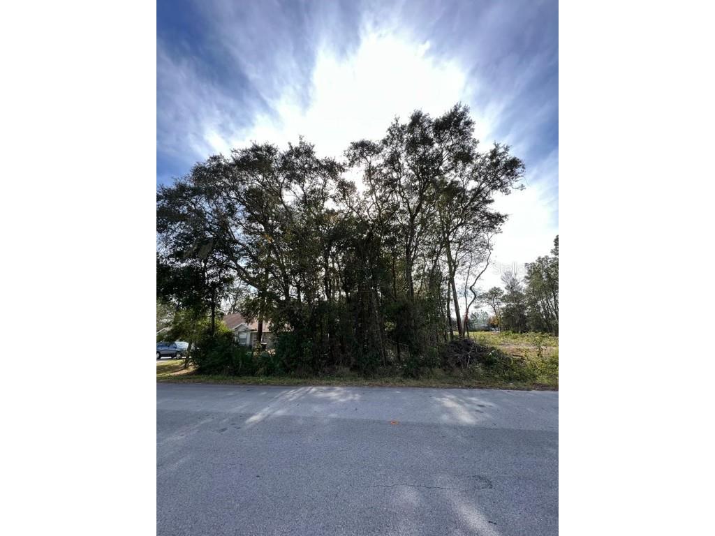 Bahia Terrace Ocala FL 34472 S5139041 image1