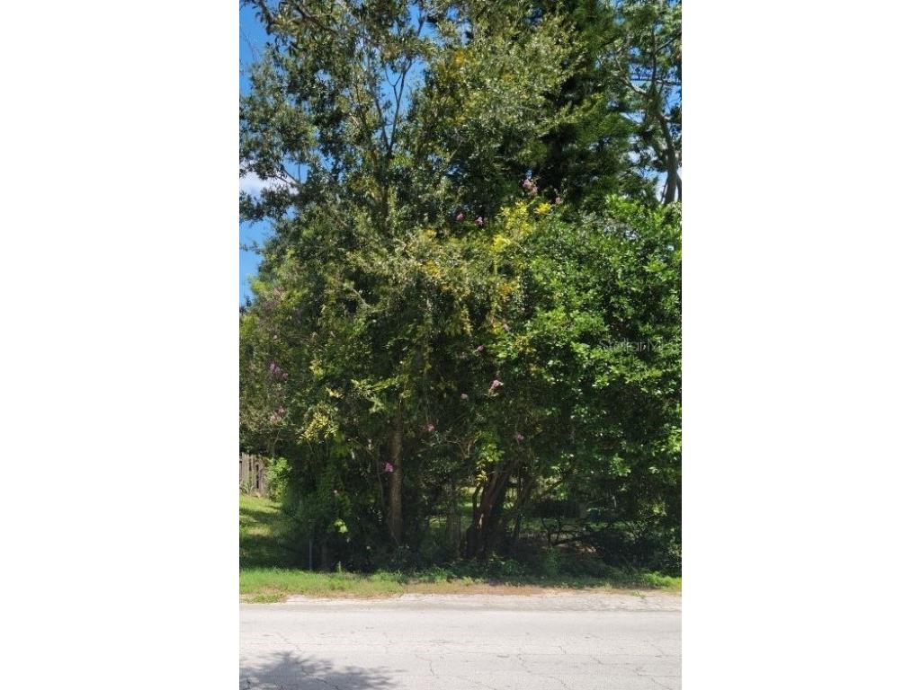 Baker Avenue E Haines City FL 33844 P4927189 image1