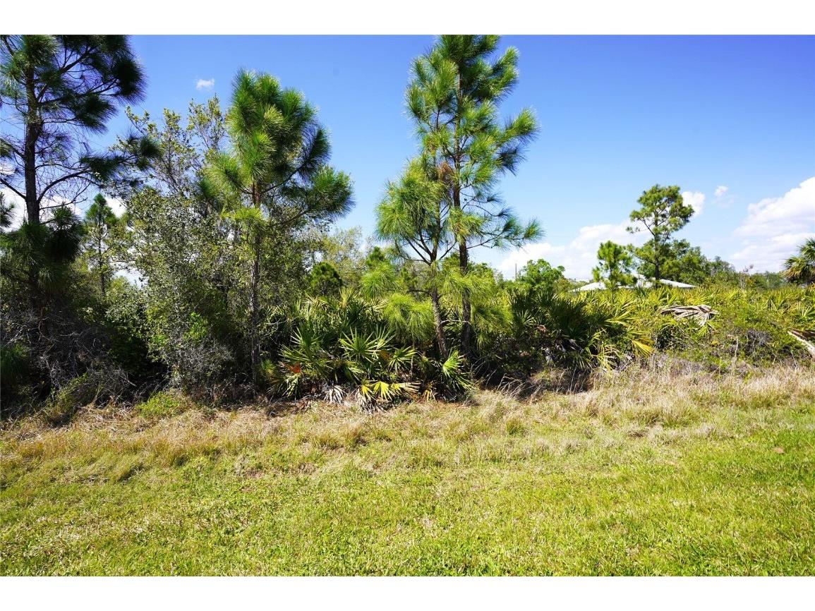 Balboa Terrace North Port FL 34291 C7507060 image3