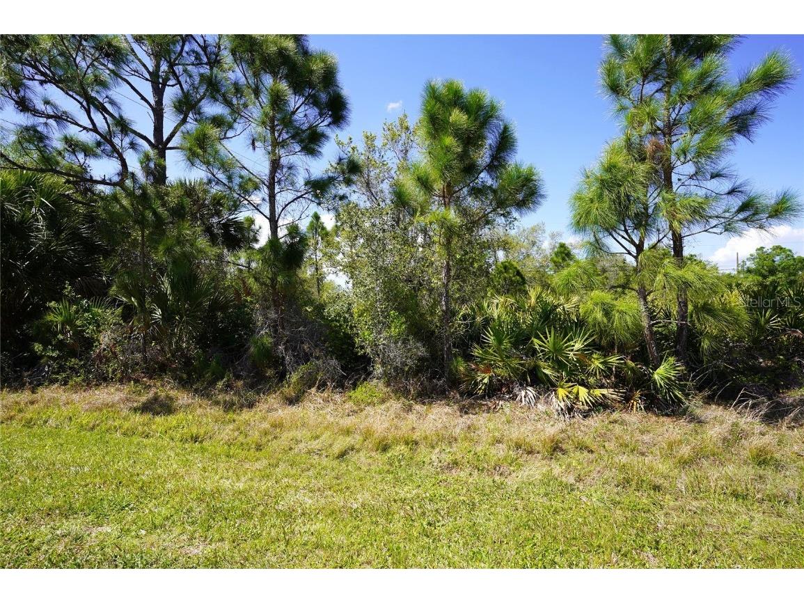 Balboa Terrace North Port FL 34291 C7507060 image4