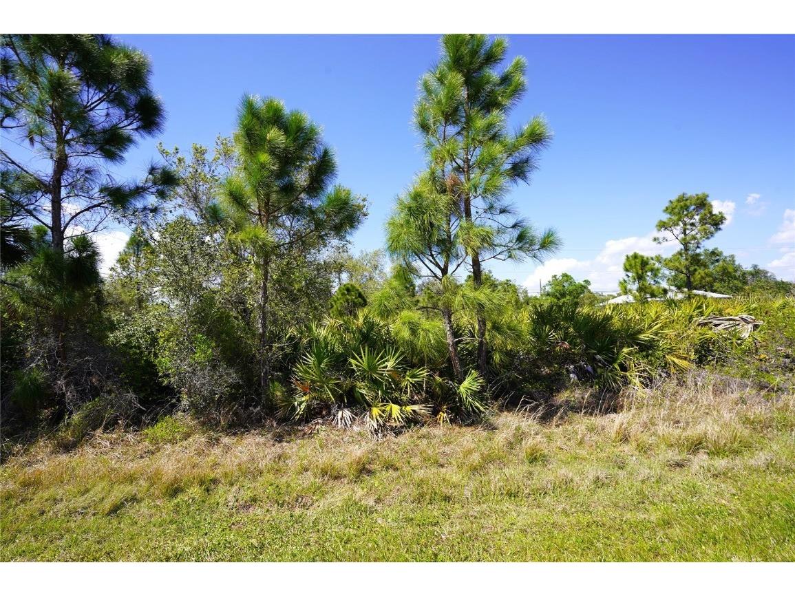 Balboa Terrace North Port FL 34291 C7507060 image5