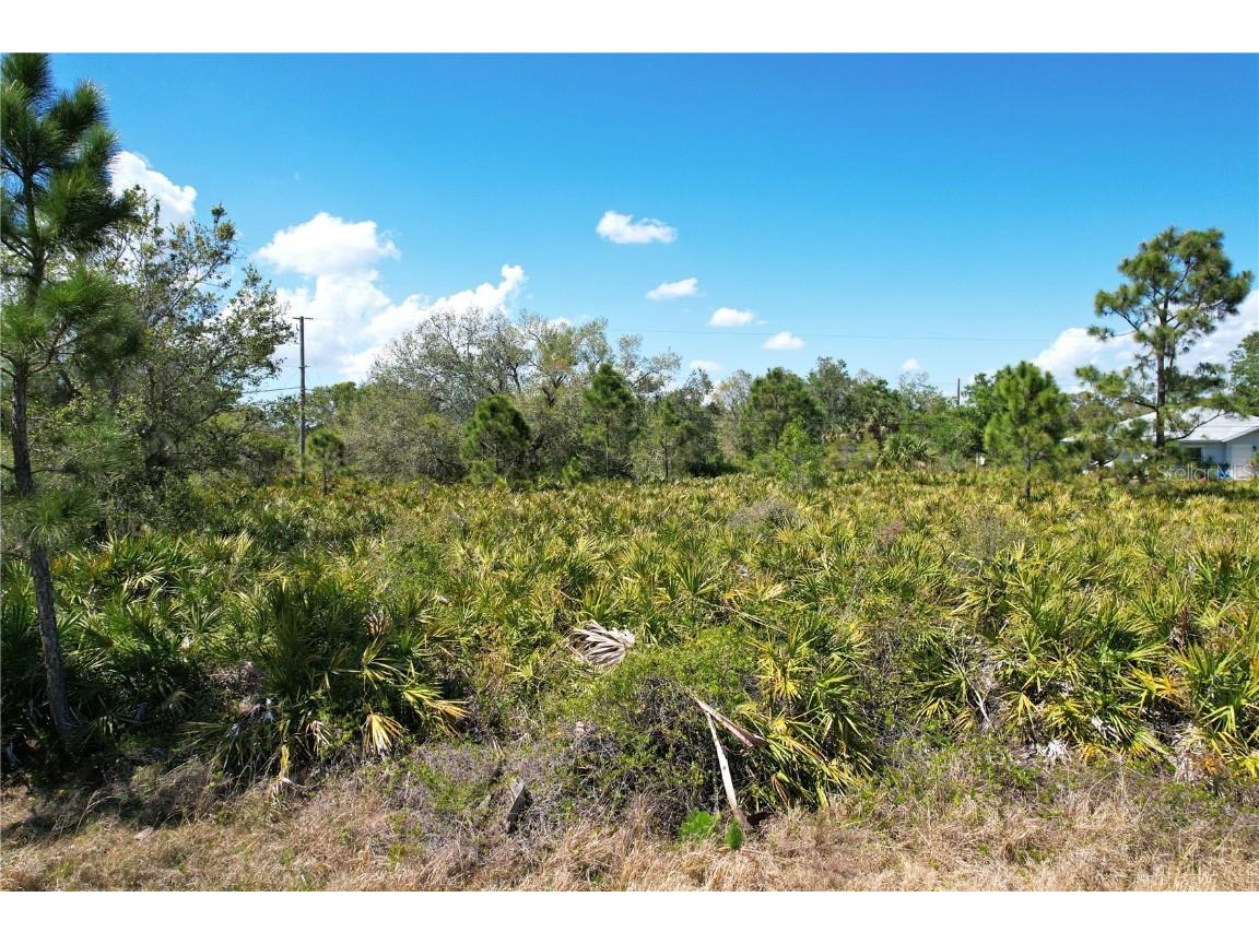 Balboa Terrace North Port FL 34291 C7507060 image6