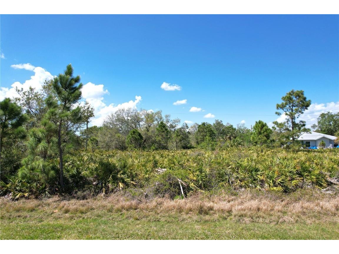 Balboa Terrace North Port FL 34291 C7507060 image7