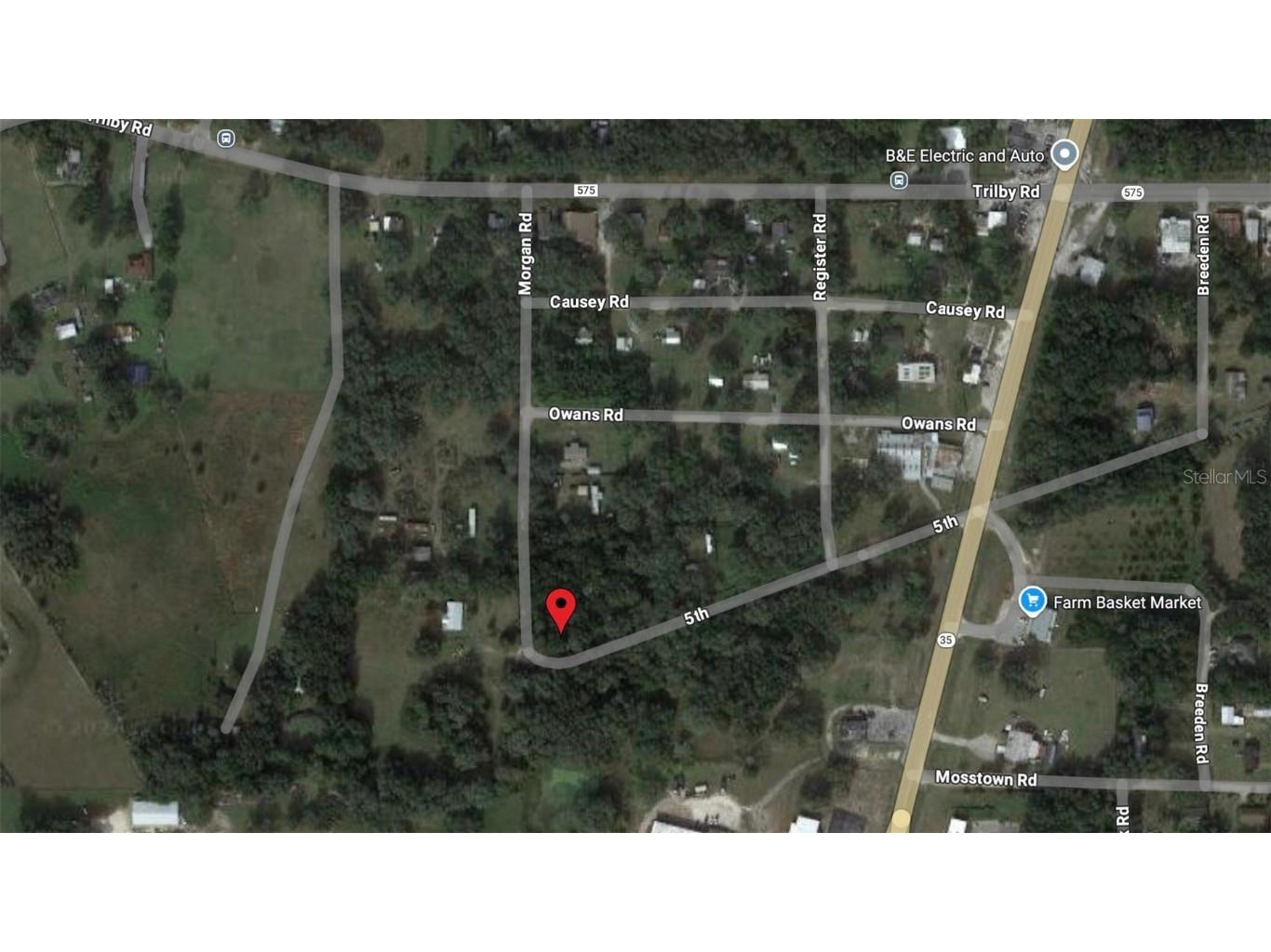 Bald Eagel Drive Dade City FL 33523 TB8306274 image1