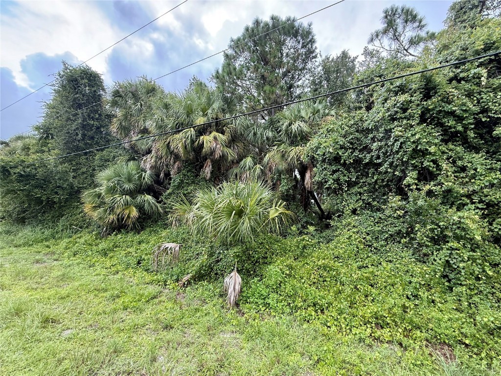 Balmor Ter North Port FL 34288 C7513411 image2