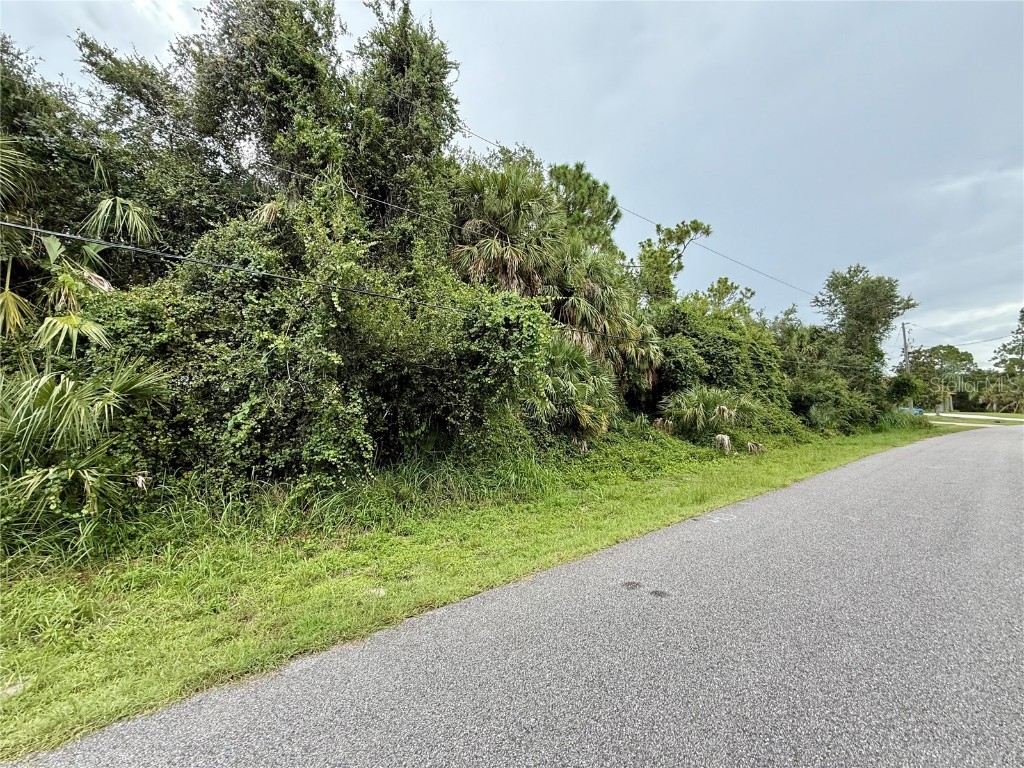 Balmor Ter North Port FL 34288 C7513411 image5