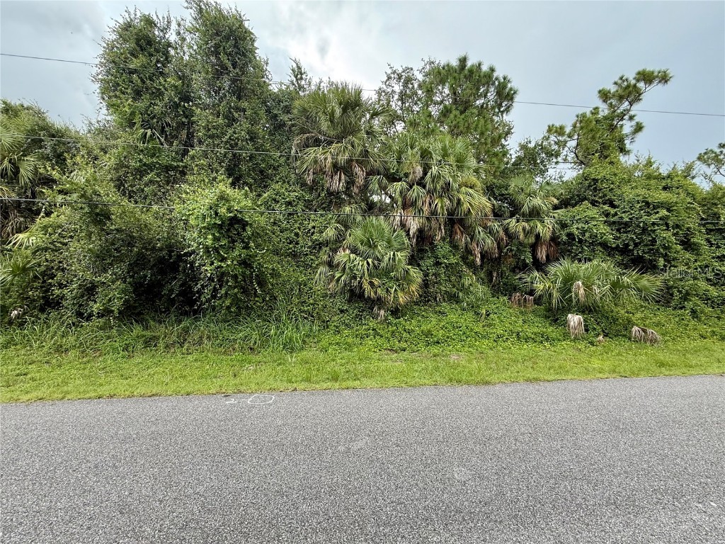 Balmor Ter North Port FL 34288 C7513411 image7