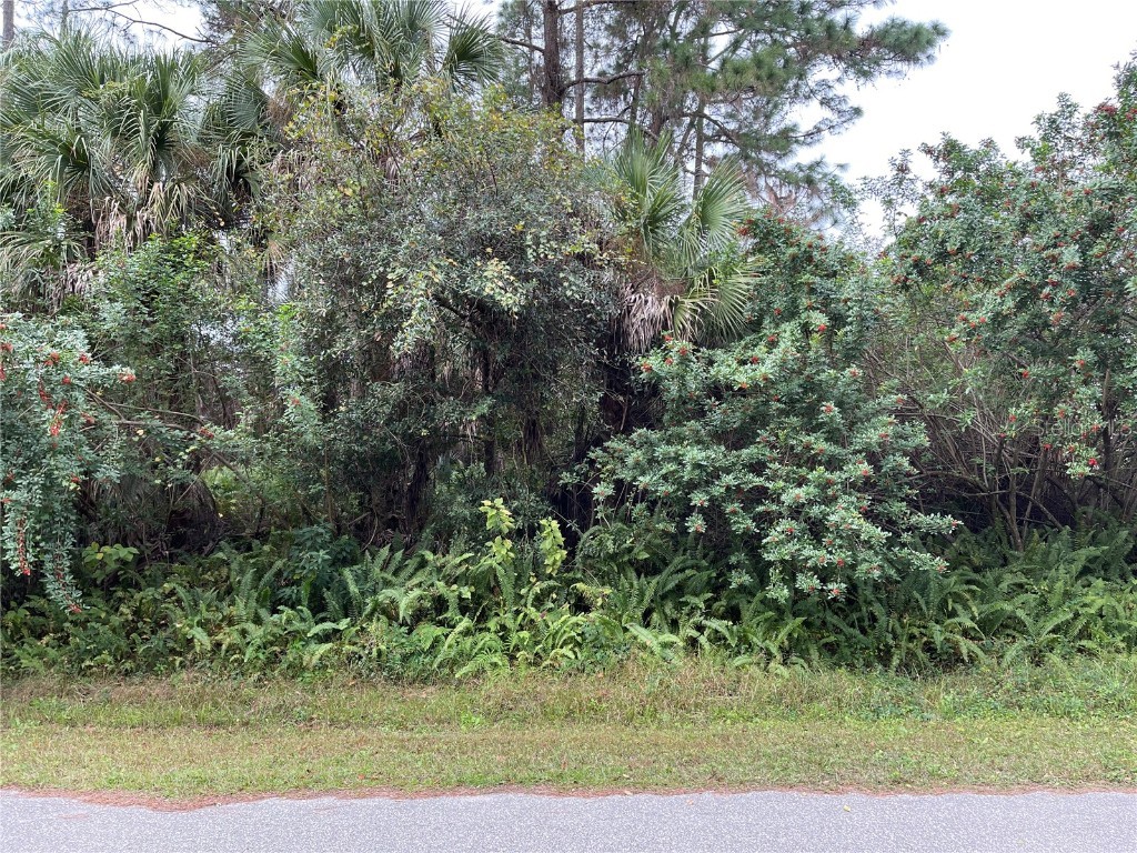 Bamonte Street North Port FL 34286 D6122731 image1