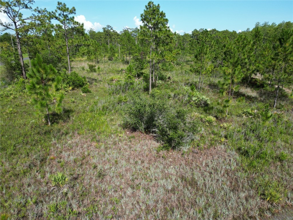 Bancroft Blvd Orlando FL 32833 O6322025 image5