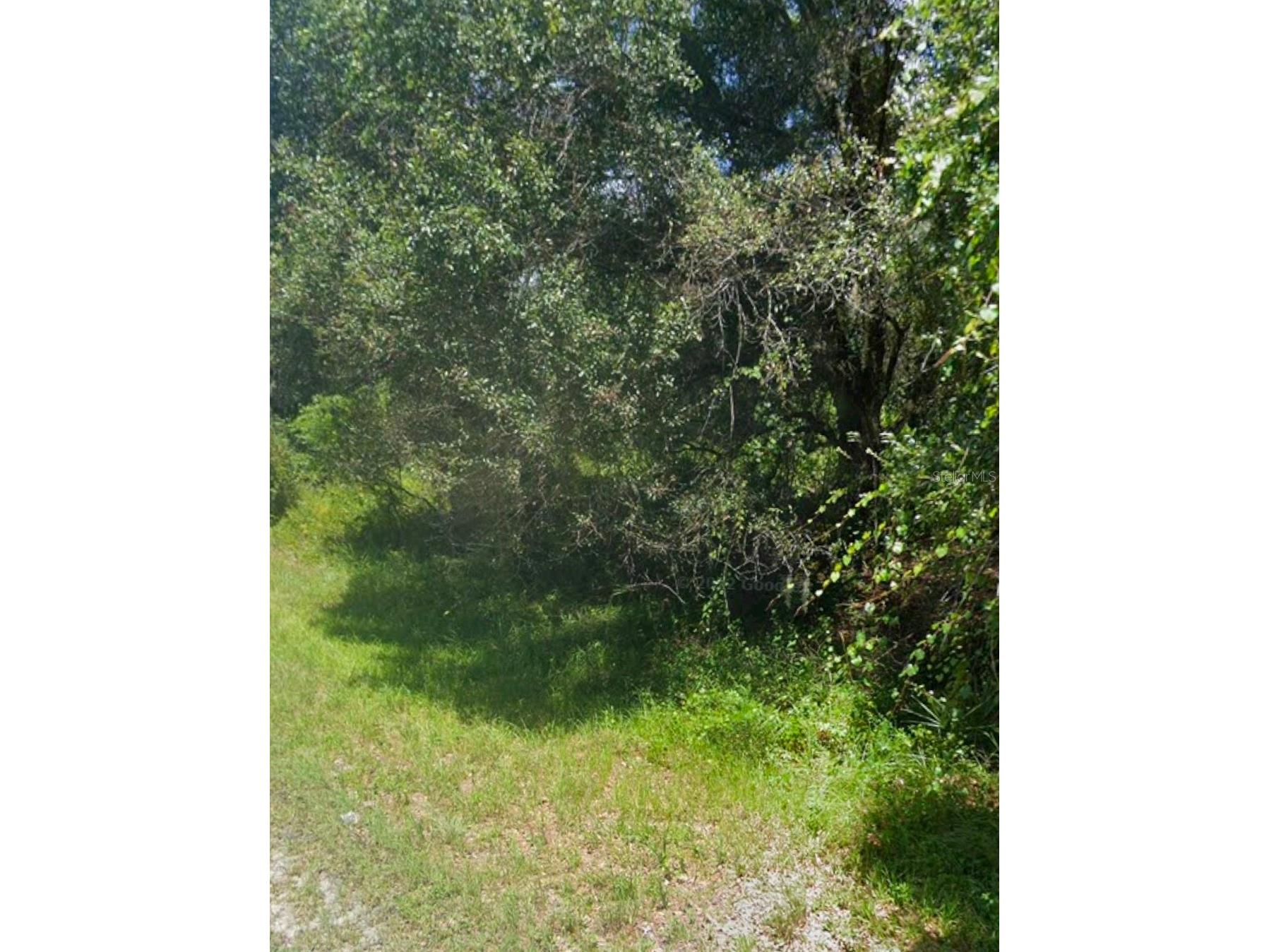 Bangar Lane North Port FL 34291 A4688767 image2