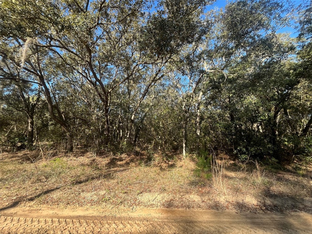 Banks Interlachen FL 32148 OK225024 image1