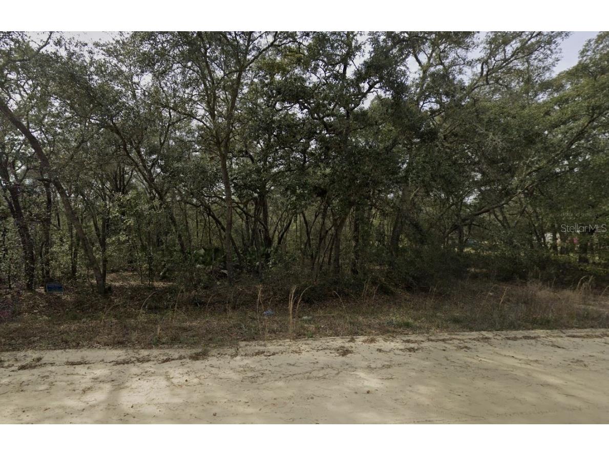 Banks Interlachen FL 32148 OK225024 image10