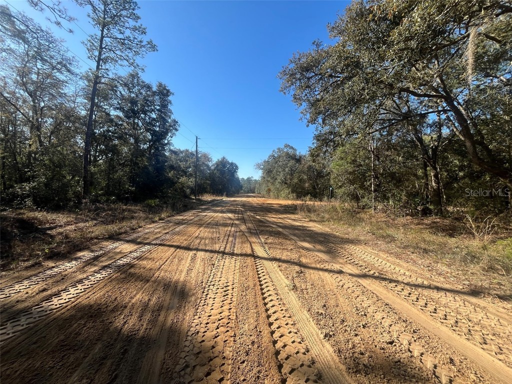 Banks Interlachen FL 32148 OK225024 image4