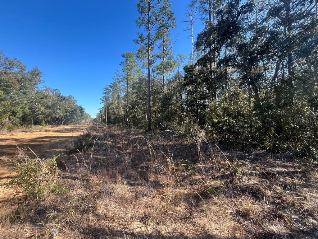 Banks Interlachen FL 32148 OK225024 image5