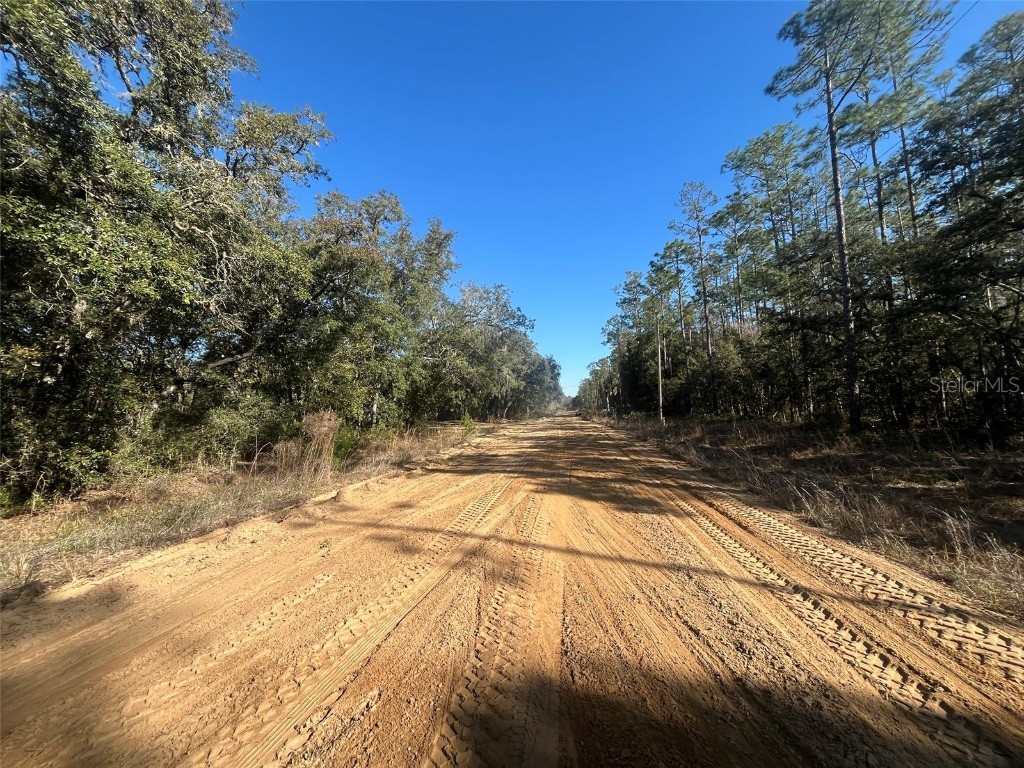 Banks Interlachen FL 32148 OK225024 image6