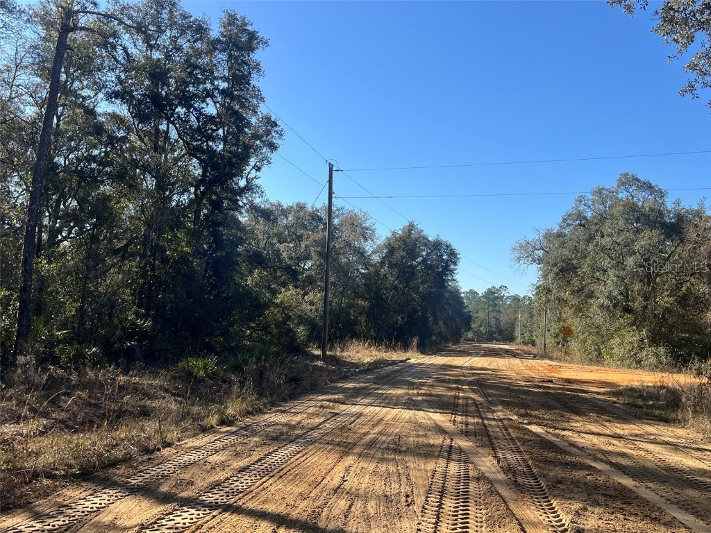 Banks Interlachen FL 32148 OK225024 image7