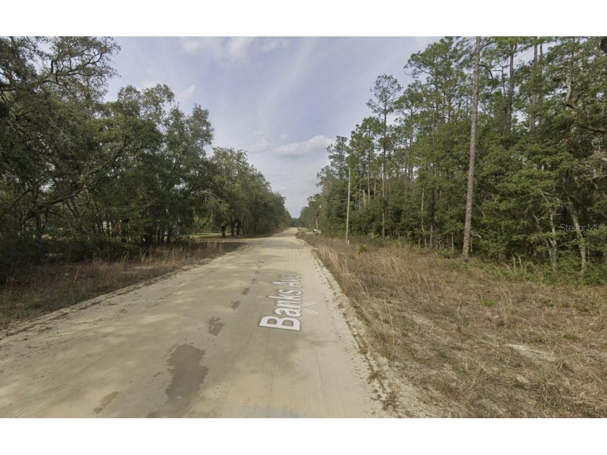 Banks Interlachen FL 32148 OK225024 image8