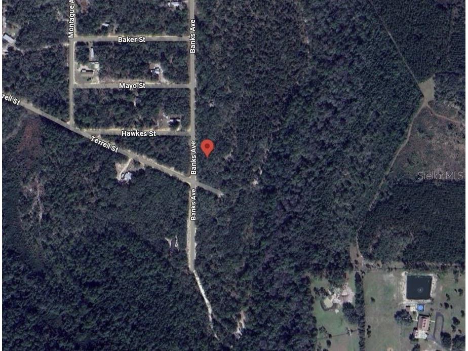 Banks Interlachen FL 32148 OK225024 image9